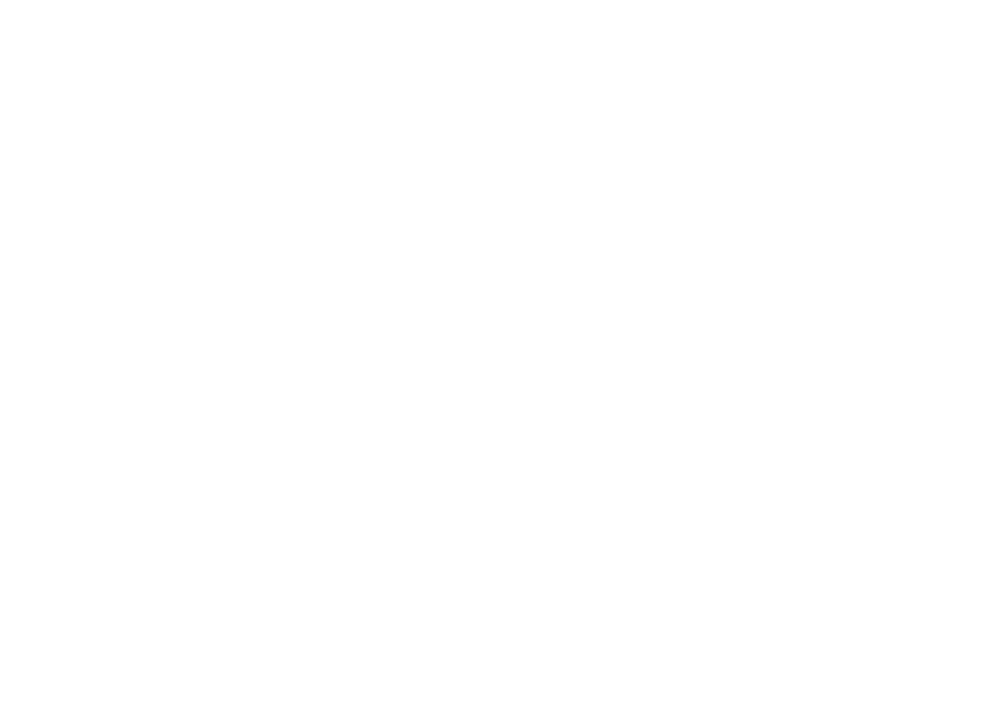 Activity Network Logo tertiary